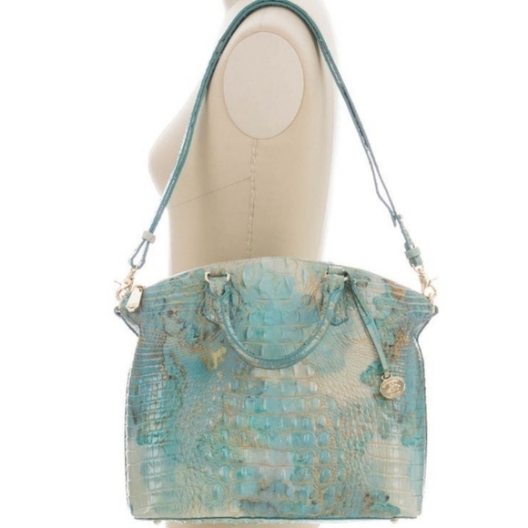 Brahmin - Picture 12 of 12